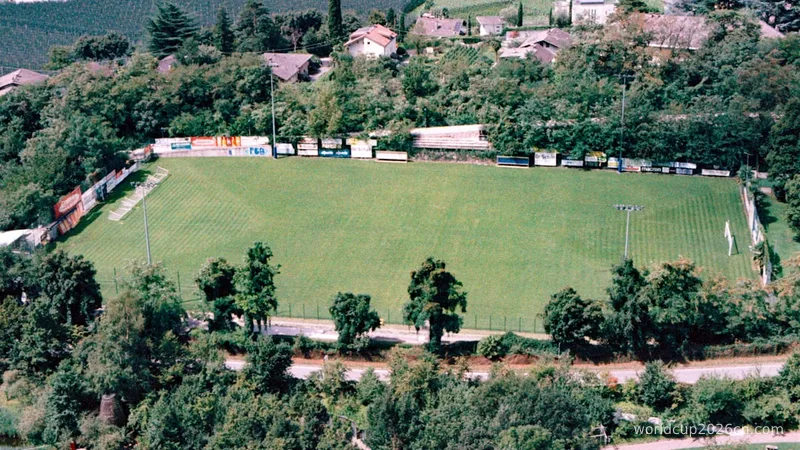 Aerial view of a green football field surrounded by trees.