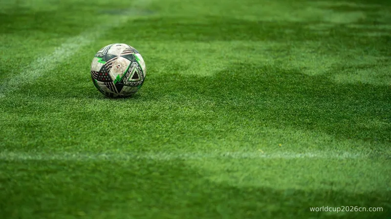 A soccer ball rests on a green field.
